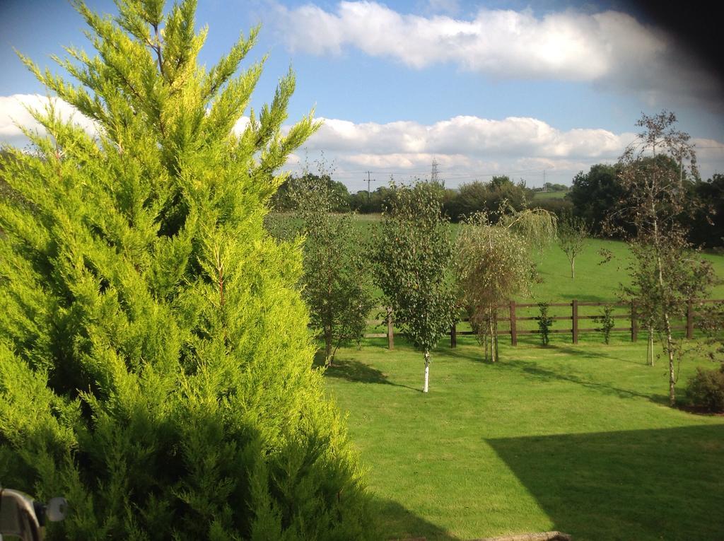 Crannaford Cottage Broadclyst Екстериор снимка